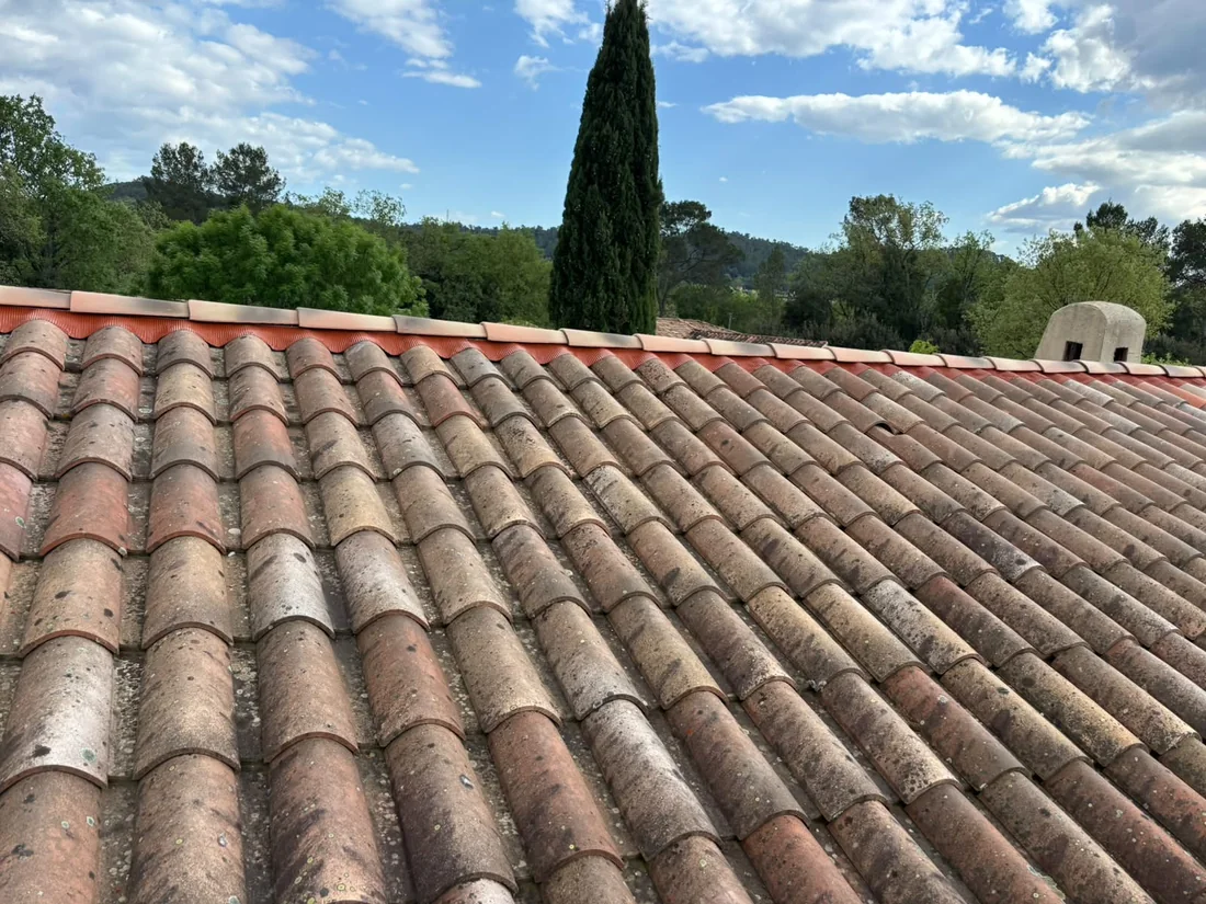 Toiture en tuiles couverte de mousses et de salissures avant nettoyage