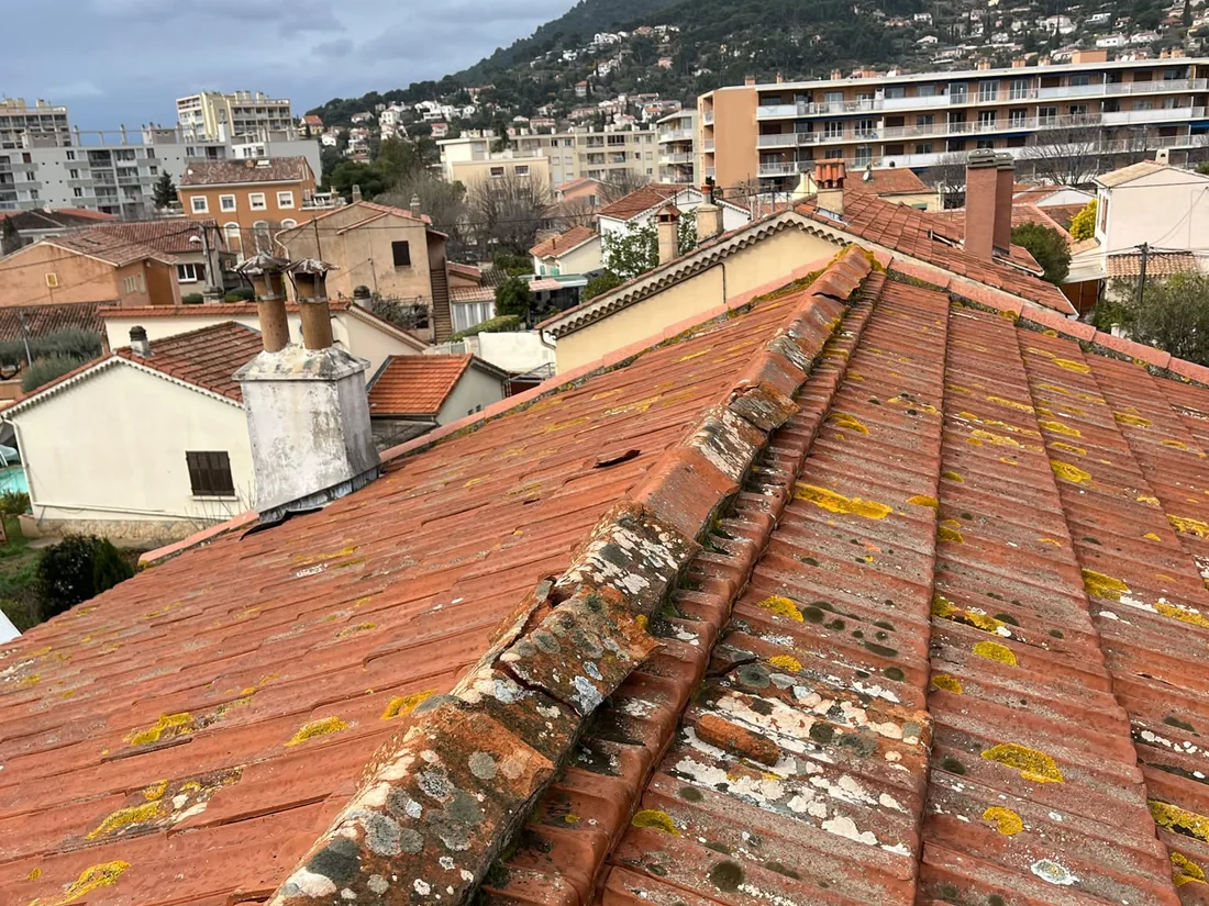 Toiture vétuste envahie par les mousses et les lichens avant rénovation